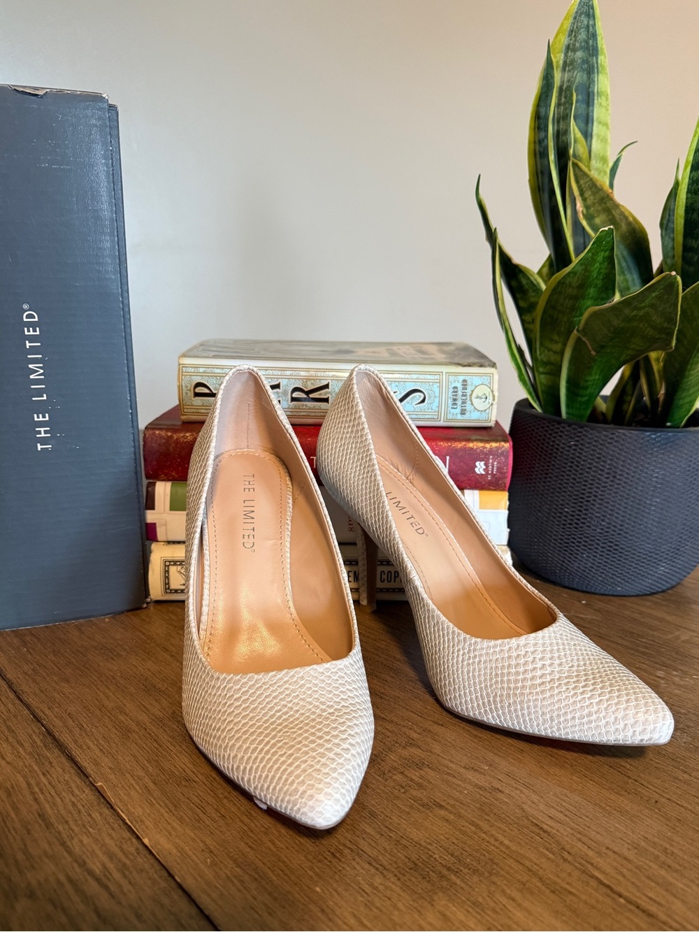 The Limited Nude Textured Pointed-Toe Pumps